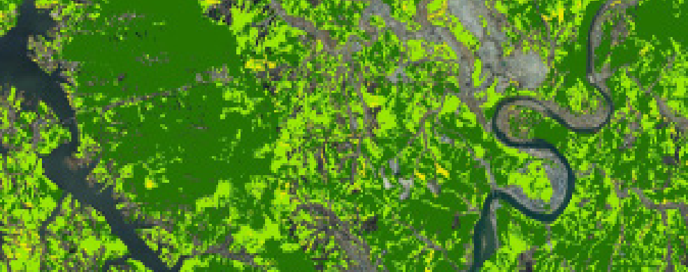 자연성 이미지 예시