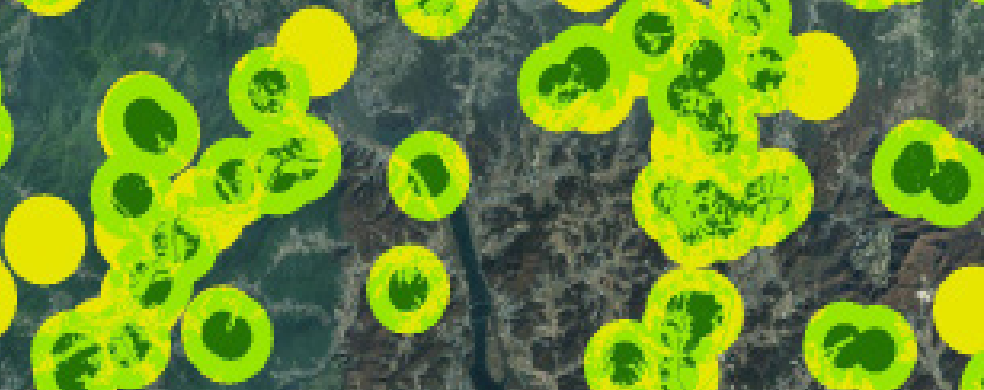 희귀성 이미지 예시