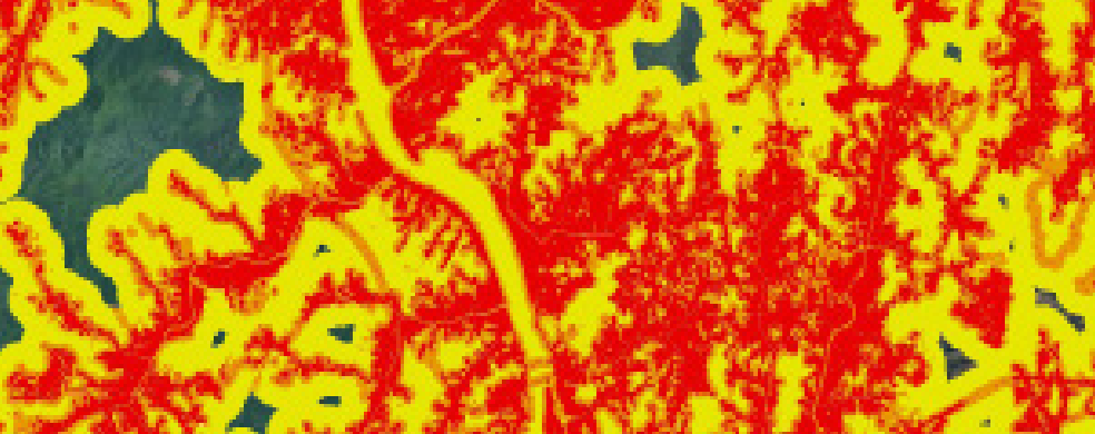 허약성 이미지 예시