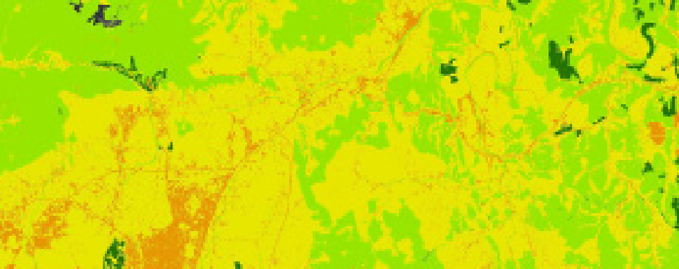 잠재적 가치 예시